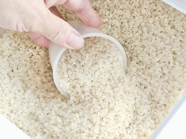 お米をすくう手元